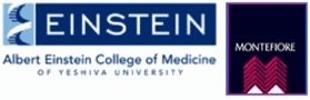 Einstein-Montefiore Institute for Clinical & Translational Research