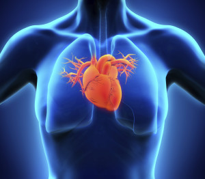 Chronic heart issues caused by diabetes