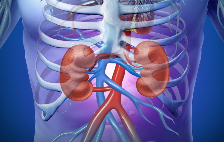 Patient with chronic kidney disease indications