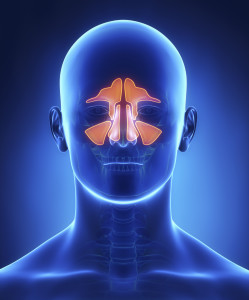 3D image showing effects of sinusitis