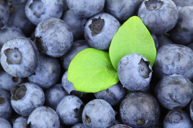 Blueberries shown in a bowl