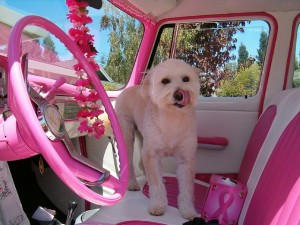 Car decorated for Breast Cancer Awareness Month