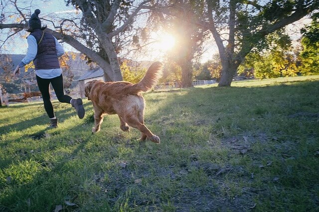 Woman trains with her dog