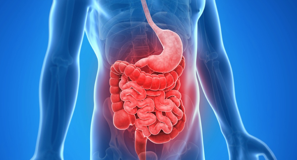 IBS 3d diagram showing abdominal pain points