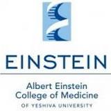 Albert Einstein College of Medicine